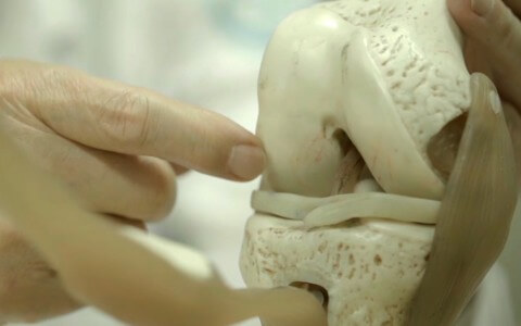 케이스템셀, 줄기세포로 세계 최초 ‘연골재생’